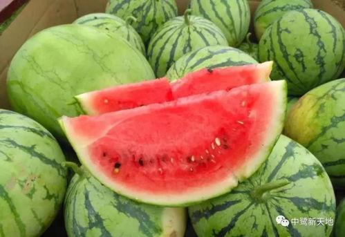 今日最新吃瓜,重磅瓜料来袭，揭秘明星幕后故事