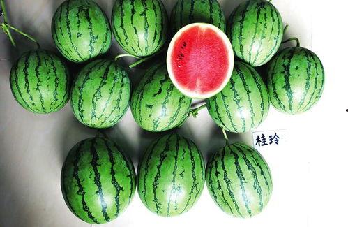 南宁今日吃瓜新闻报道事件,真相背后竟是这样...