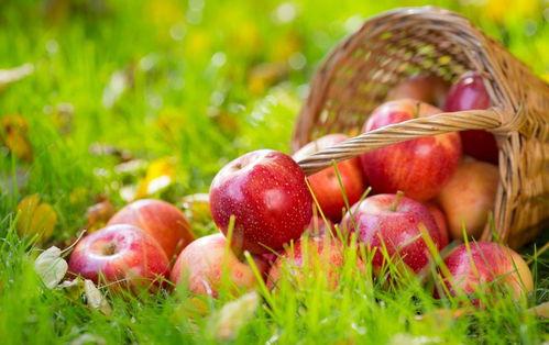 51吃瓜苹果官网